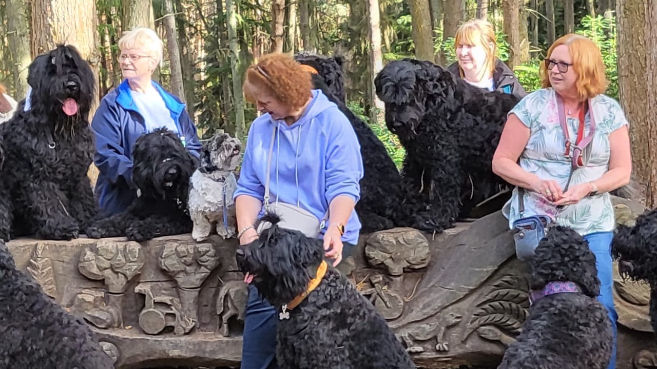 Pack Walk Oct 2022 - 5