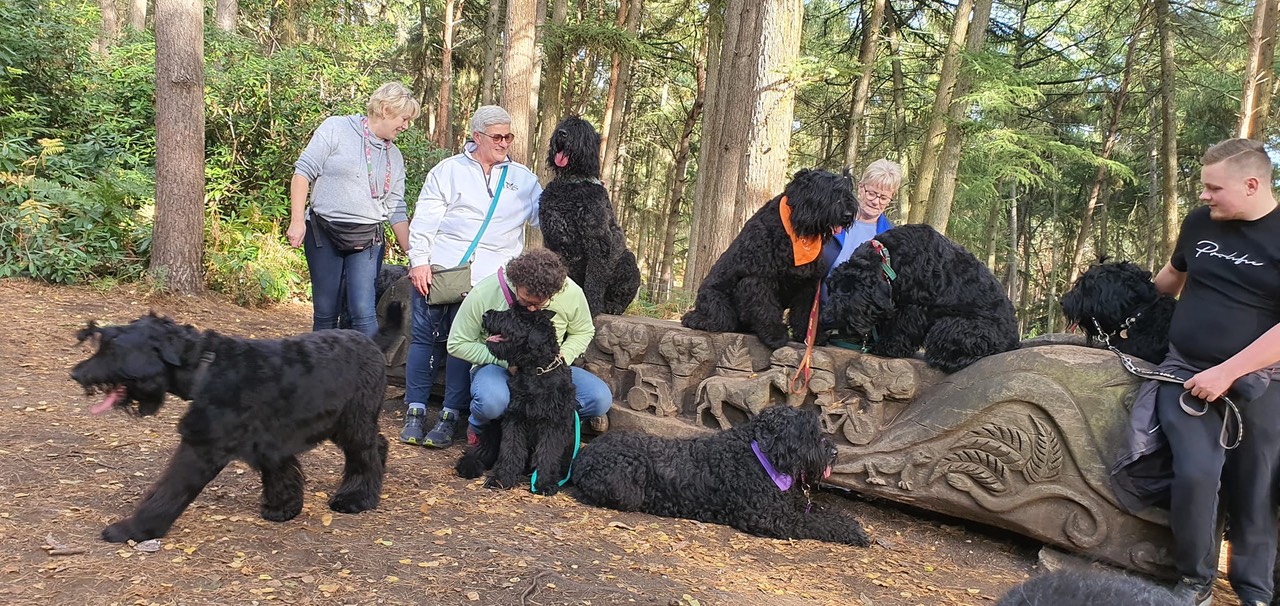 Pack Walk Oct 2022 - 6