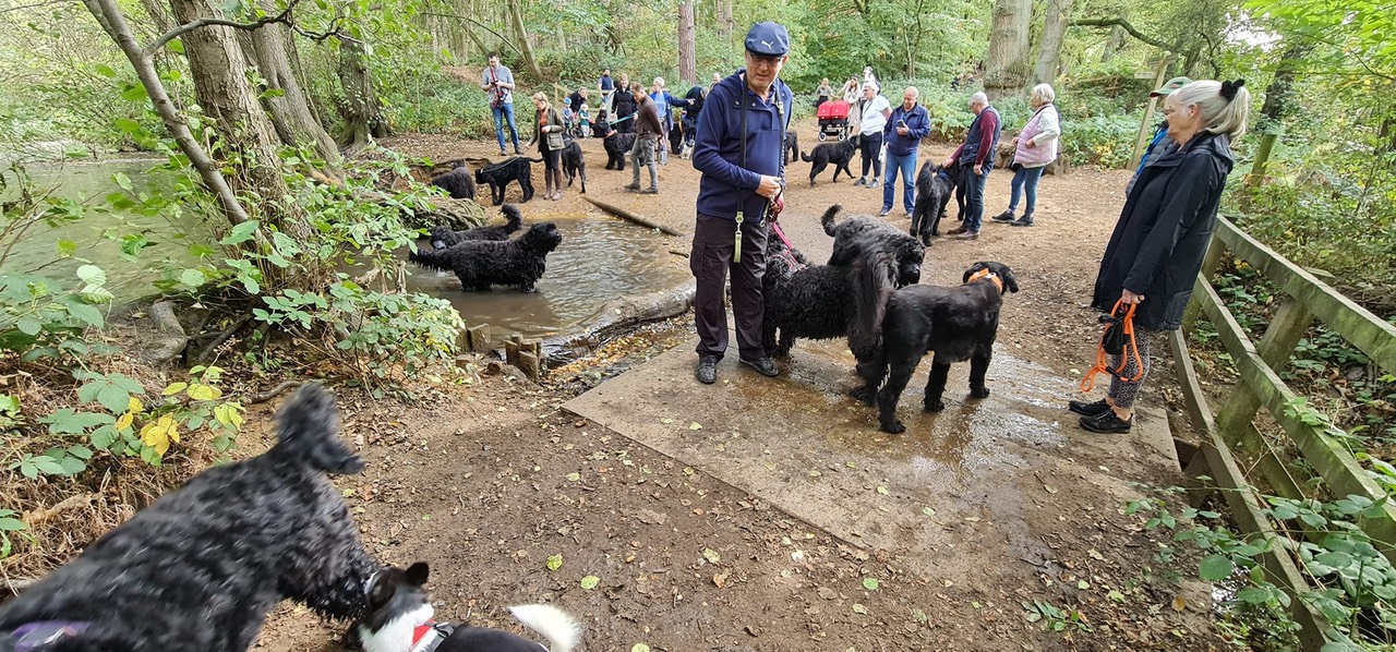 Pack Walk Oct 2022 - 12
