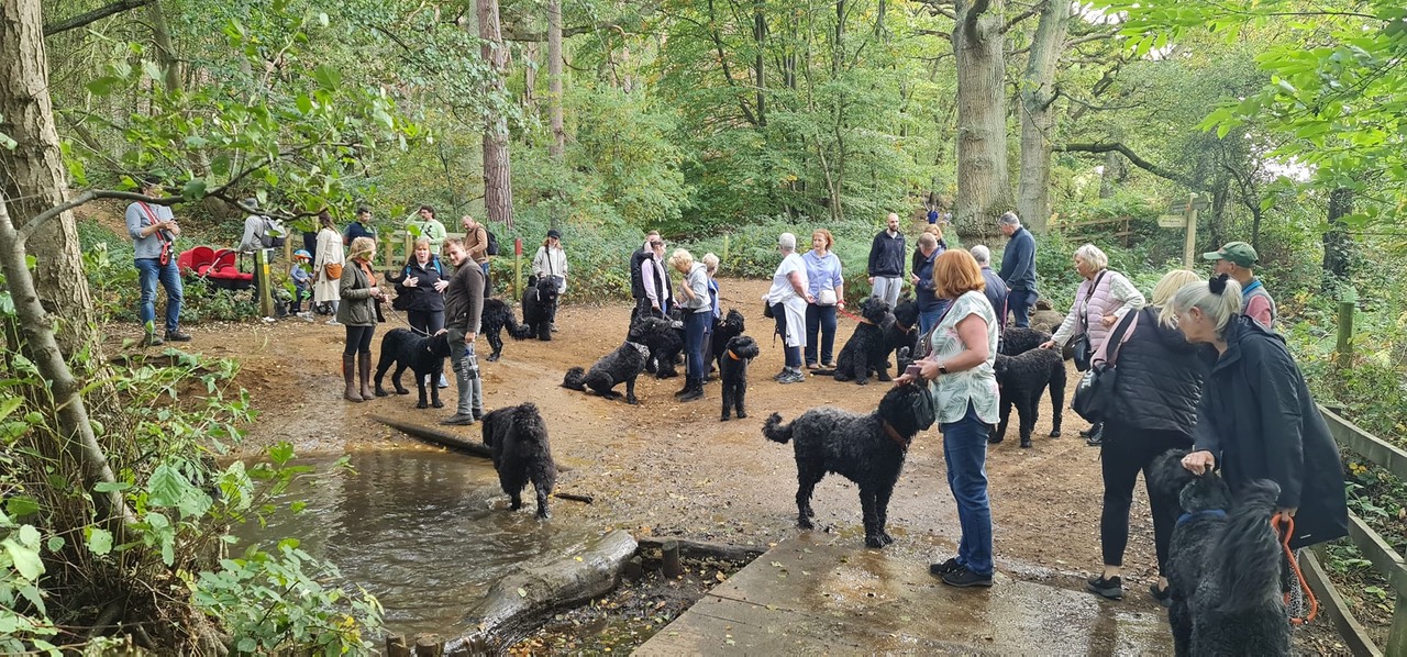 Pack Walk Oct 2022 - 13