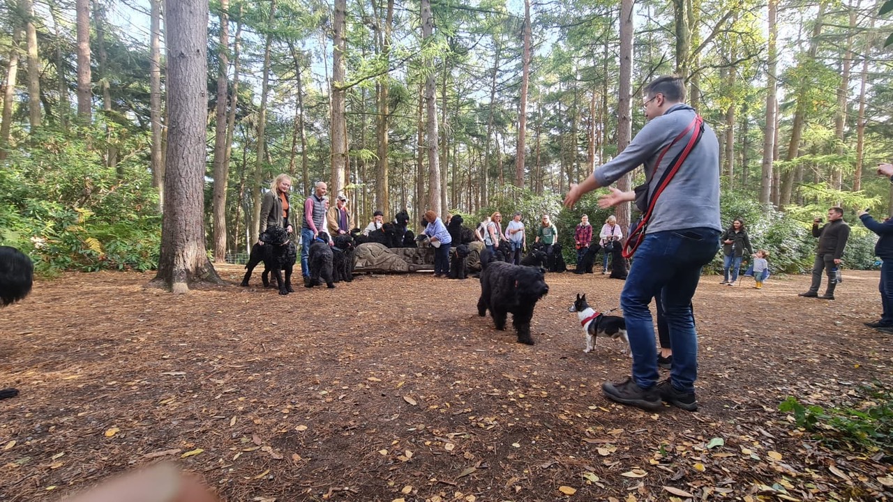 Pack Walk Oct 2022 - 20