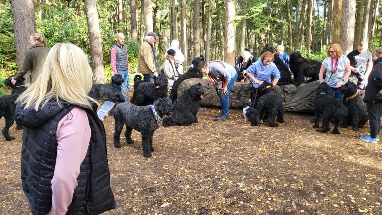Pack Walk Oct 2022 - 22