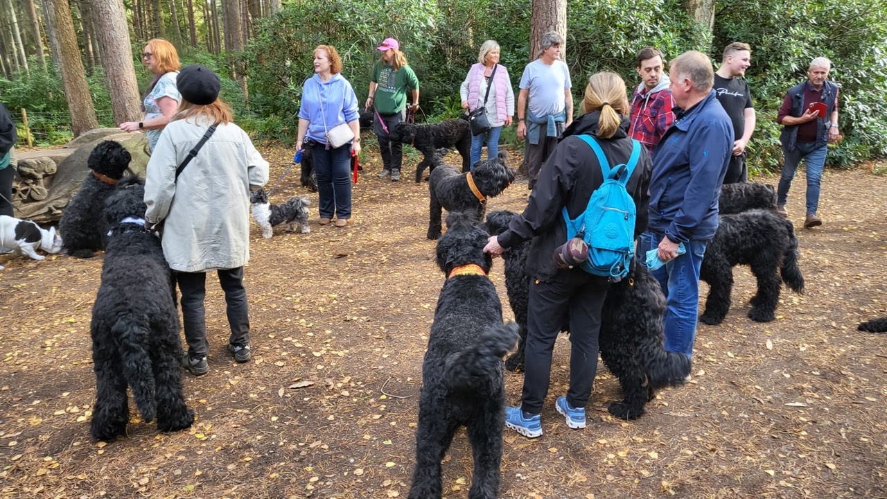 Pack Walk Oct 2022 - 26