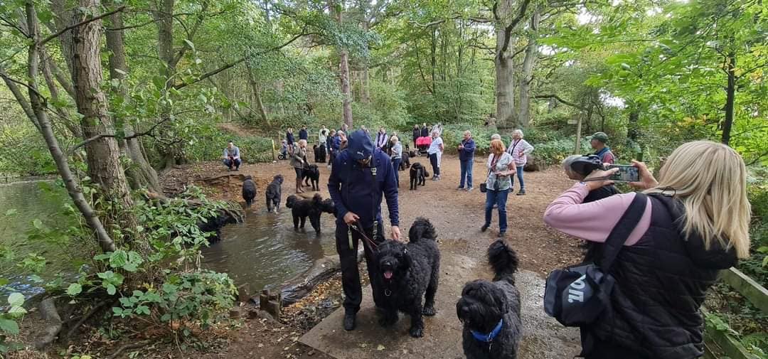 Pack Walk Oct 2022 - 28