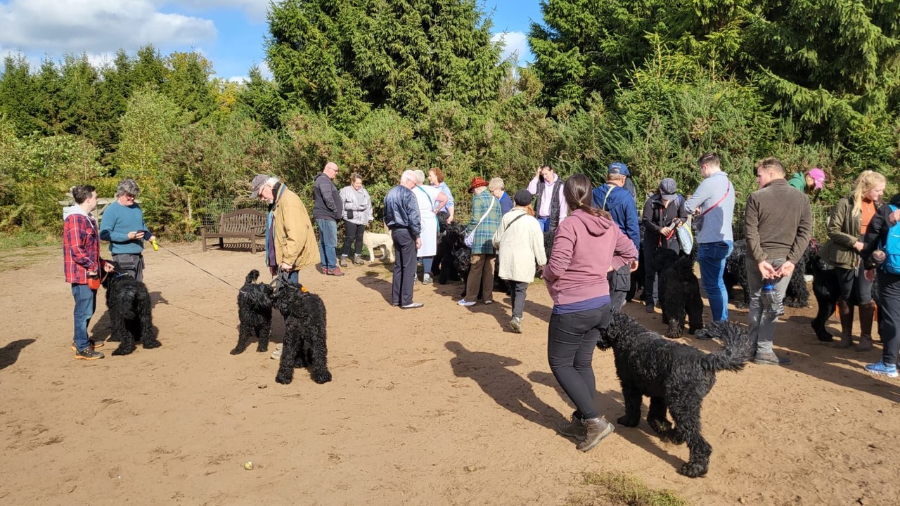 Pack Walk Oct 2022 - 35