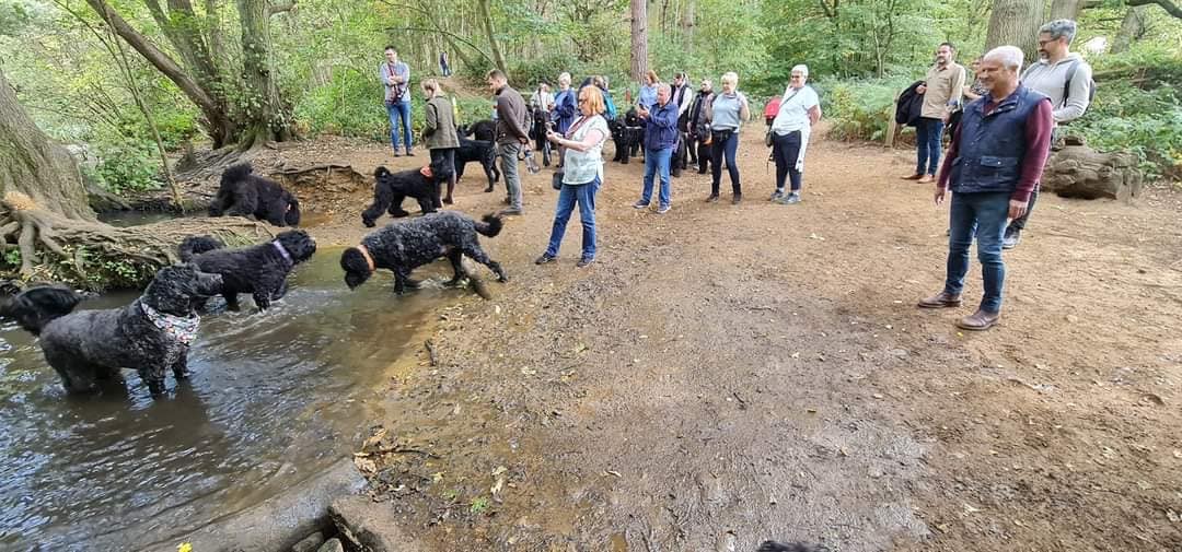Pack Walk Oct 2022 - 2