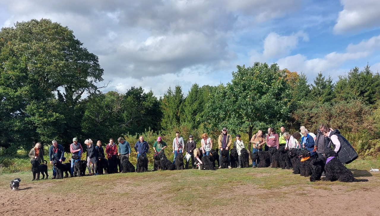 Pack Walk Oct 2022 - 72